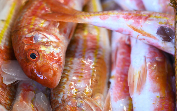 Pescado de Eurofish Roquetas: sano, limpio y de calidad